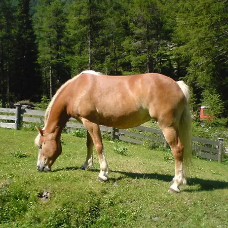 S'jechlas Πανσιόν