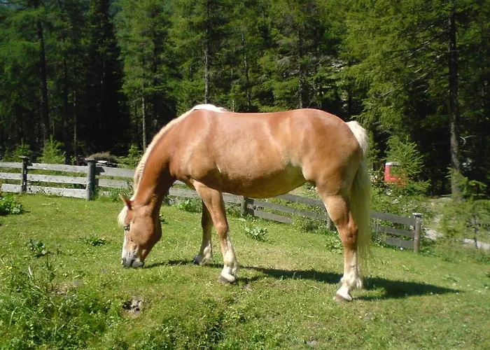 S'jechlas Гостевой дом