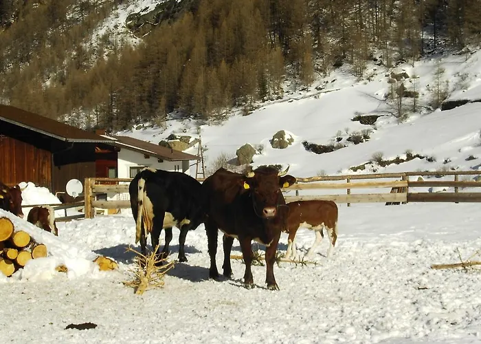 Гостевой дом S'jechlas 3*